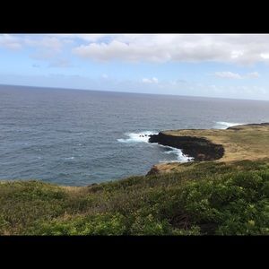 Meet your Posher, Joyce